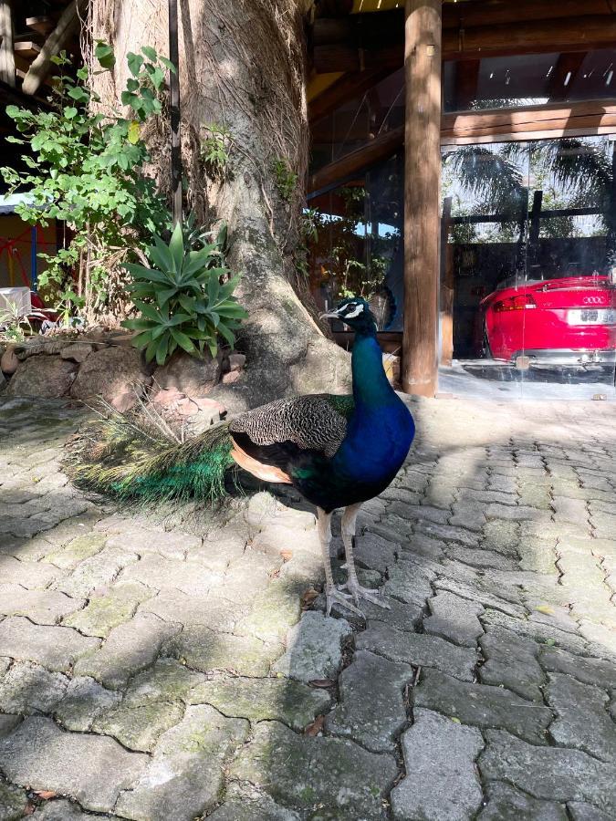 Pousada Familiar Casa Amarela São Gabriel المظهر الخارجي الصورة